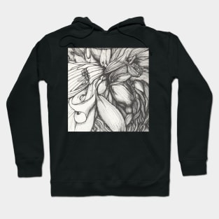 Botanical Study Hoodie